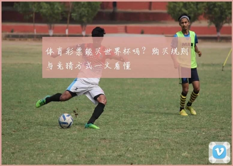 体育彩票能买世界杯吗？购买规则与竞猜方式一文看懂