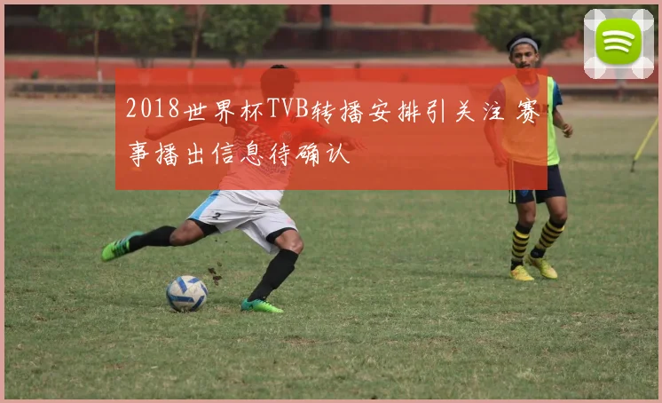 2018世界杯TVB转播安排引关注 赛事播出信息待确认