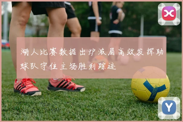 湖人比赛数据出炉浓眉高效发挥助球队守住主场胜利踪迹